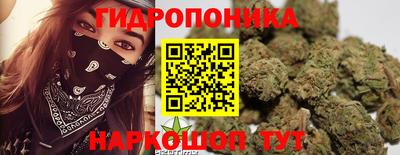 jwh Дубна