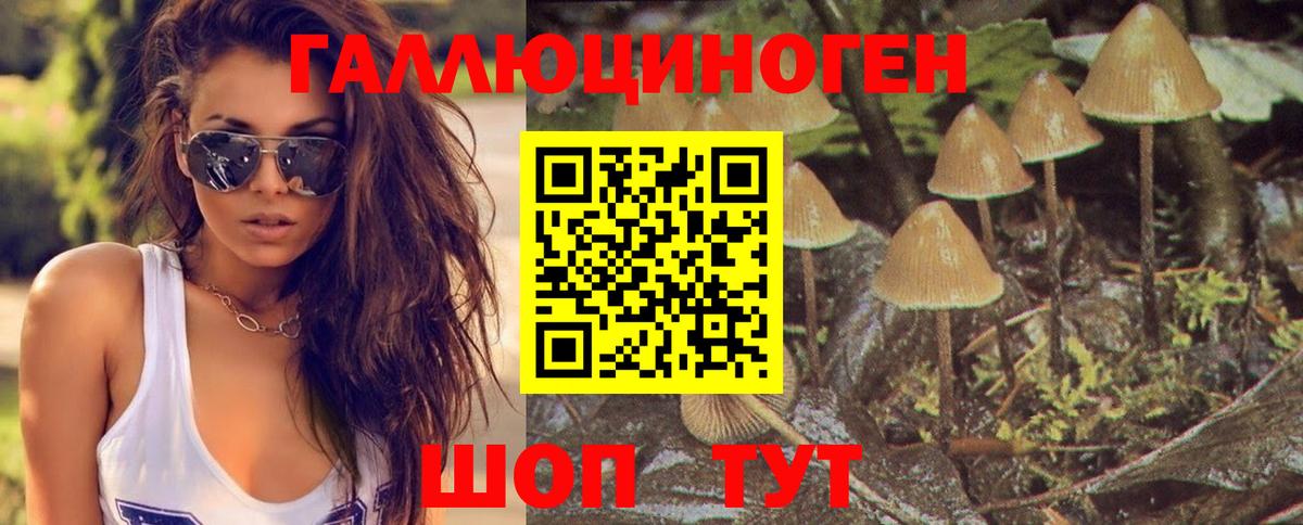 Медногорск  Псилоцибиновые грибы Magic Shrooms  Вход с VPN 