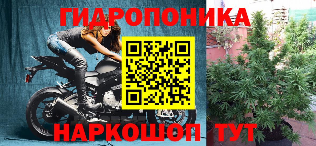 Марихуана план  Вход с VPN  Каннабис VHQ  Бошки Шишки тримм  Канабис AK-47  Медногорск 